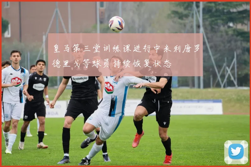 皇马第三堂训练课进行中米利唐罗德里戈等球员持续恢复状态